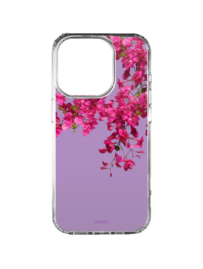 Bougainvillea